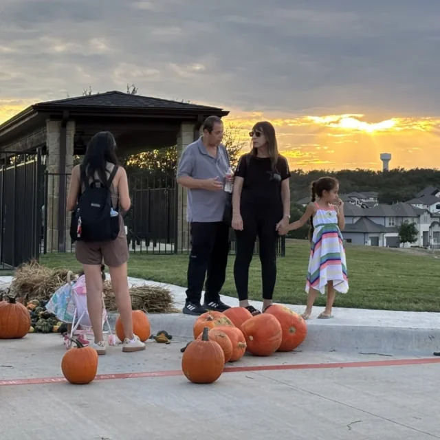 Exploring the Natural Beauty Around Provence, TX
